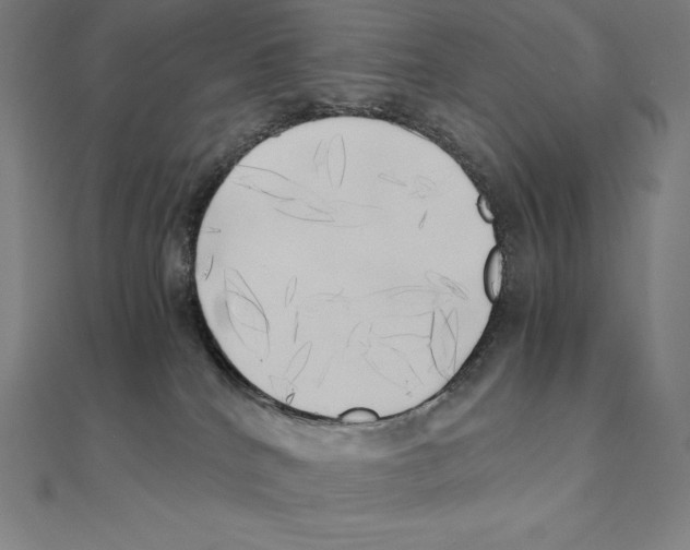 X0000110320040200906181832