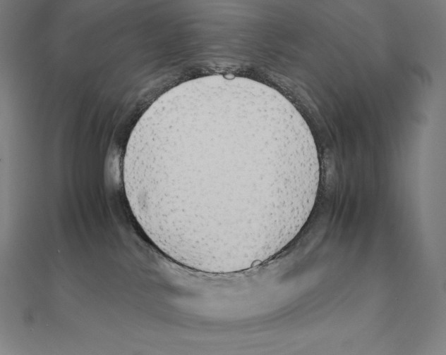 X0000110320042200906181832