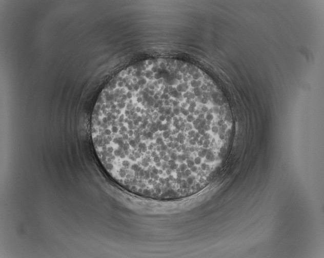 X0000110320048200906181832