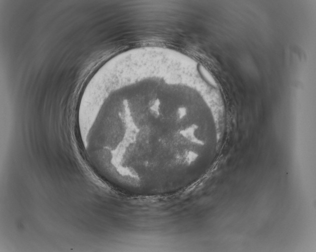 X0000110320049200906181831