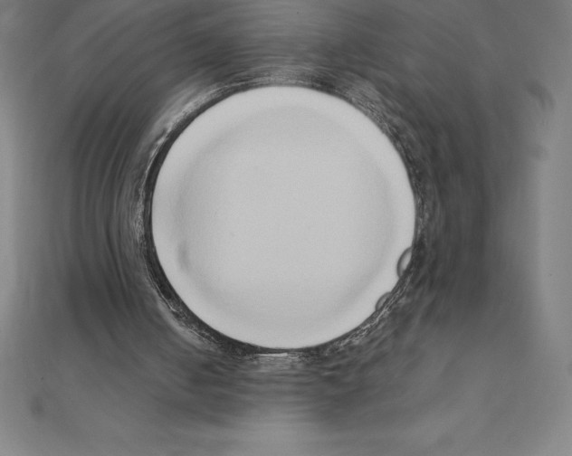 X0000110320050200906181831