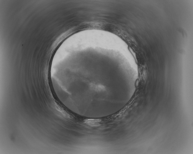 X0000110320051200906181831