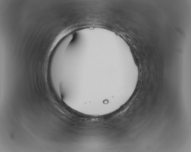 X0000110320056200906181831