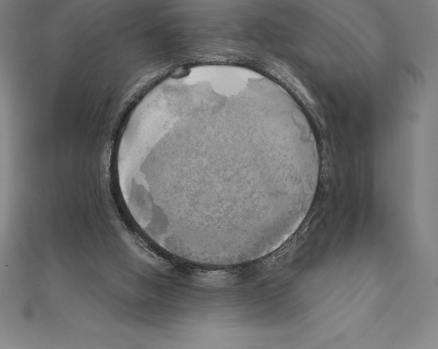 X0000110320058200906181831