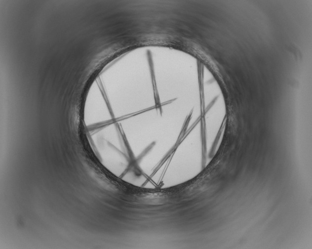 X0000110320059200906181831