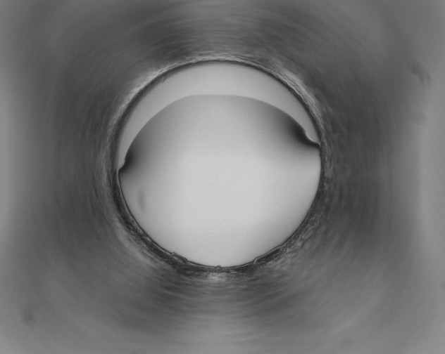 X0000110320060200906181831