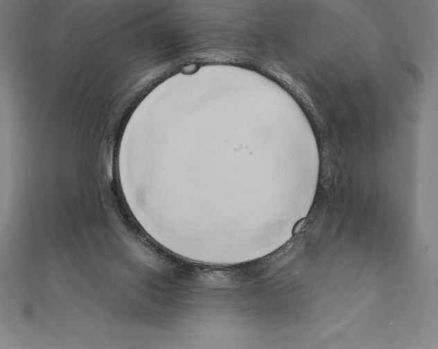 X0000110320062200906181831