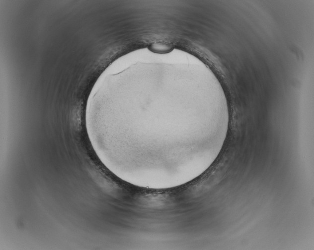 X0000110320065200906181831