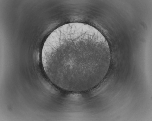 X0000110320067200906181832