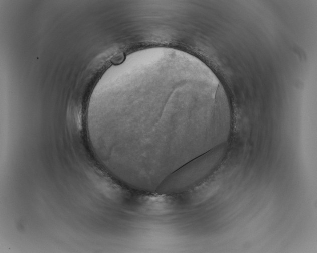 X0000110320068200906181832