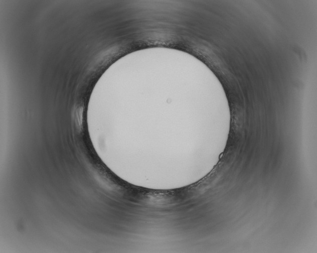 X0000110320070200906181832