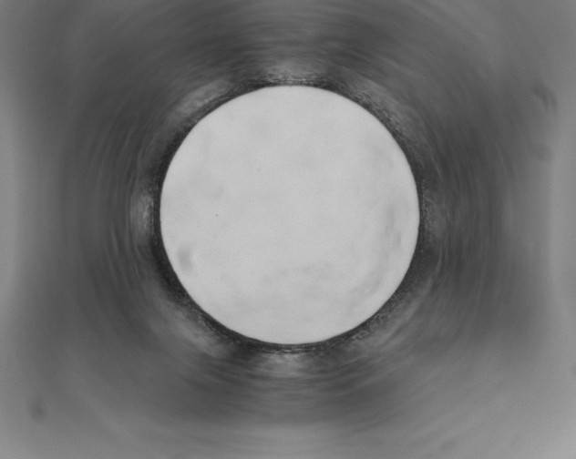 X0000110320071200906181832