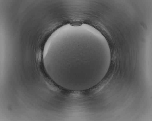 X0000110320076200906181832