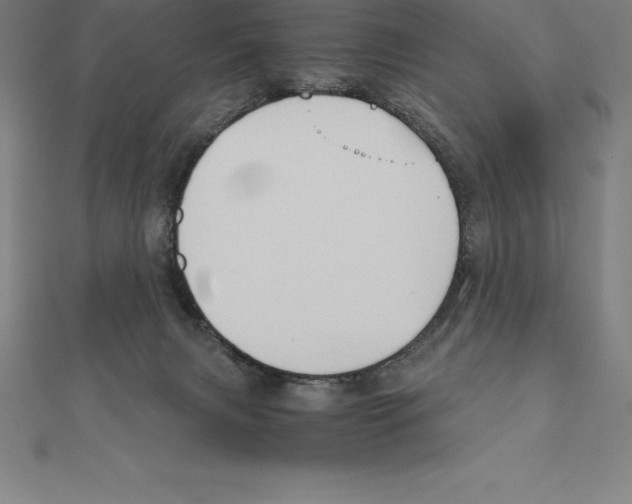 X0000110320079200906181832