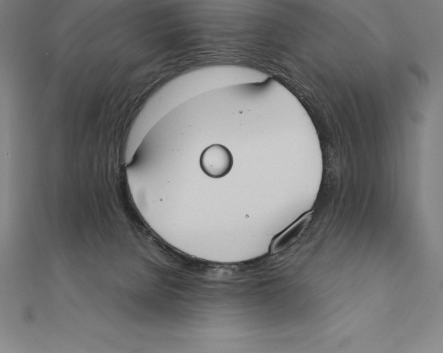 X0000110320080200906181832