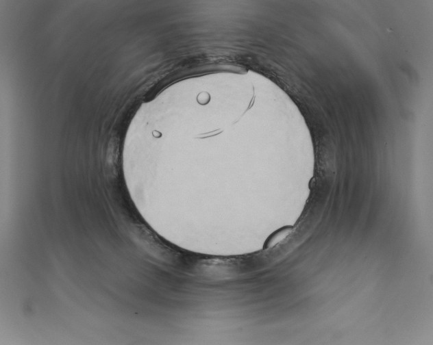 X0000110320082200906181832