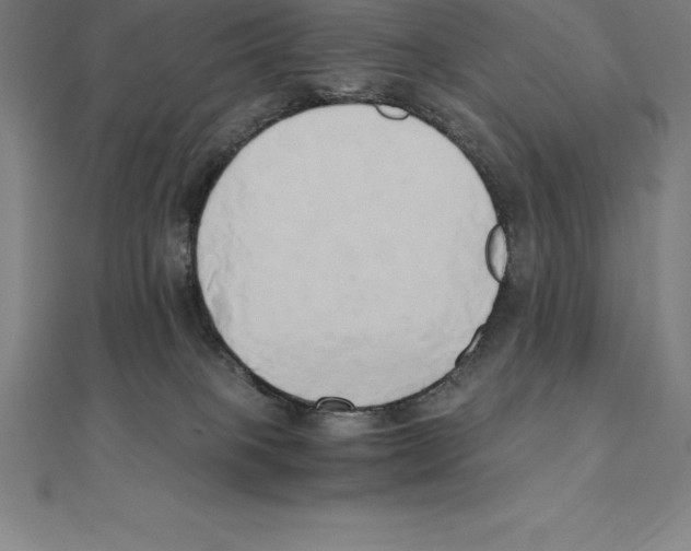 X0000110320085200906181832