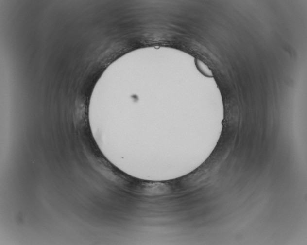 X0000110320087200906181832