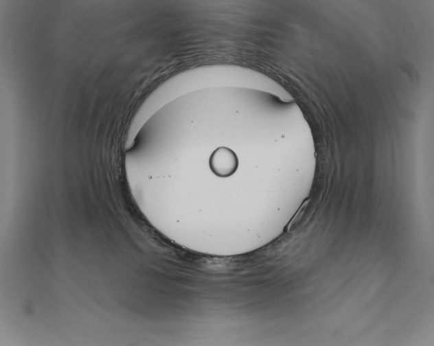 X0000110320088200906181832