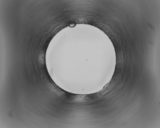 X0000110320090200906181832