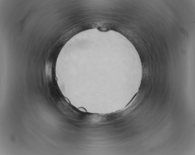 X0000110320094200906181832