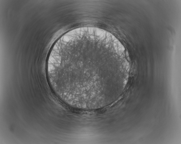 X0000110320099200906181831