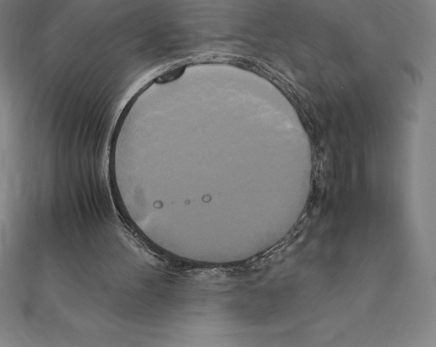 X0000110320100200906181831