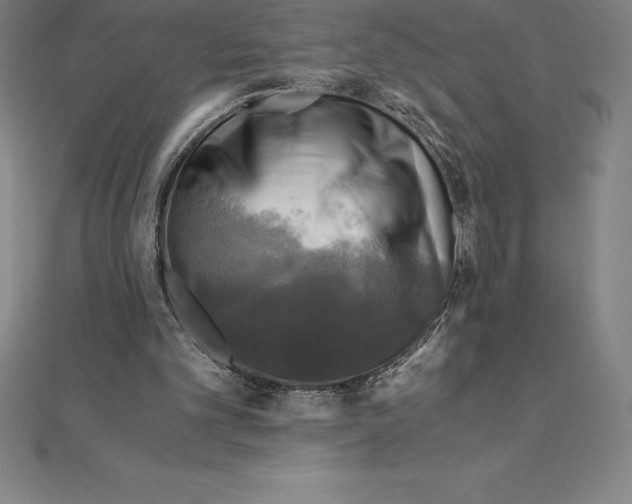 X0000110320101200906181831