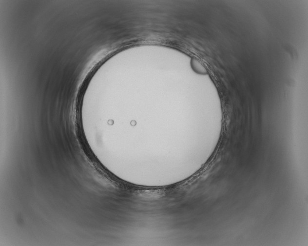 X0000110320102200906181831