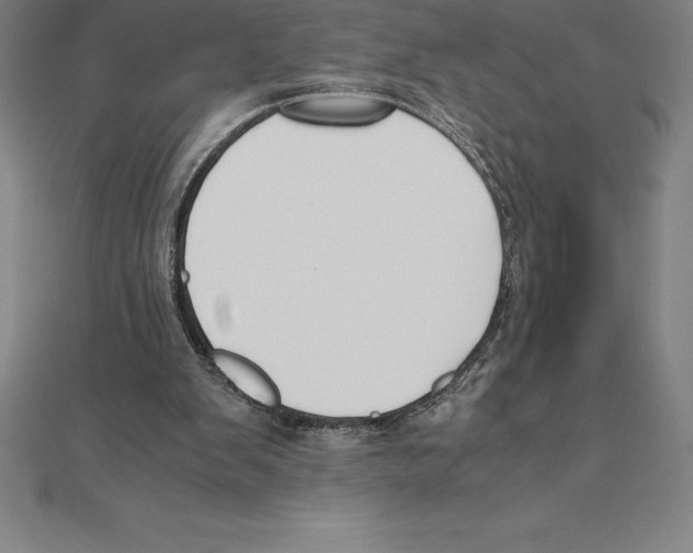 X0000110320103200906181831