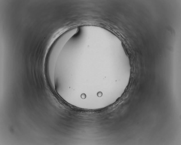 X0000110320104200906181831