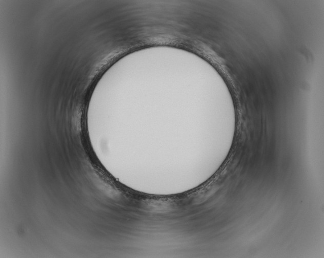 X0000110320106200906181831