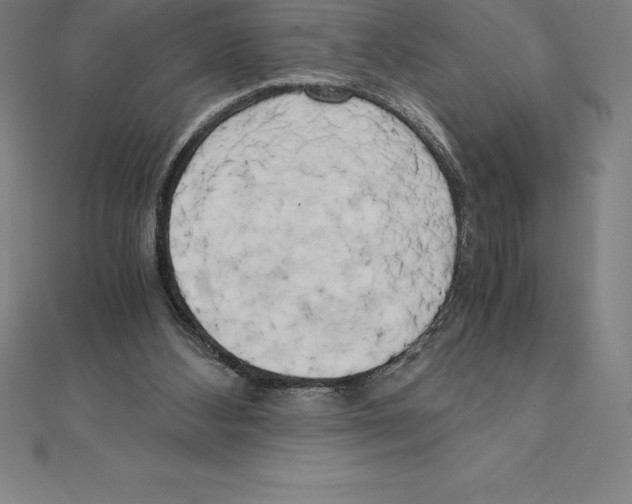 X0000110320108200906181831