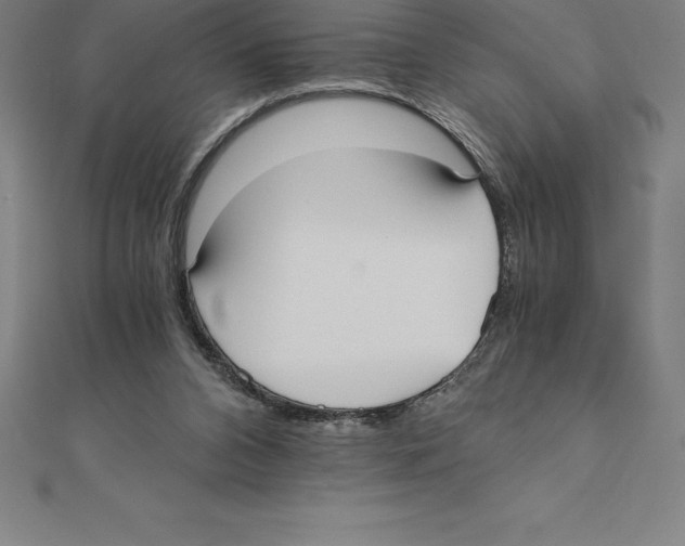 X0000110320112200906181831