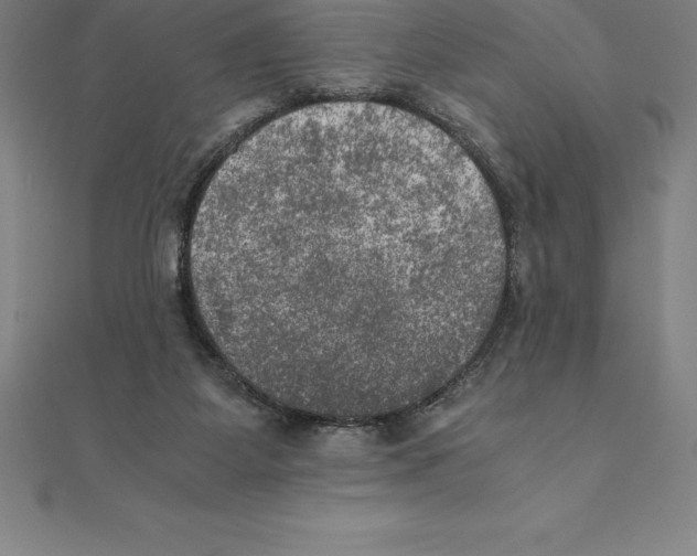 X0000110320115200906181831