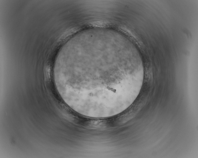 X0000110320117200906181831