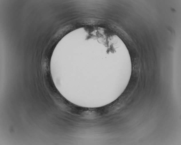 X0000110320119200906181831