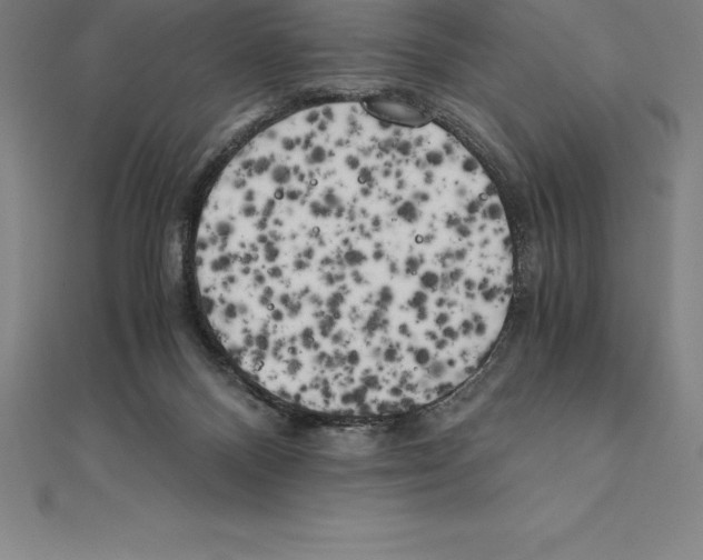 X0000110320120200906181831