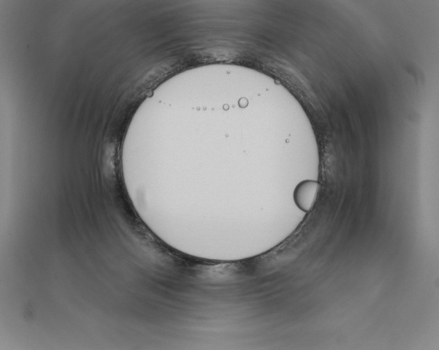 X0000110320122200906181831