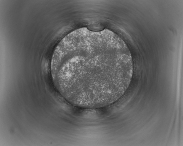 X0000110320123200906181831