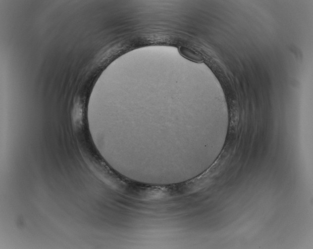 X0000110320124200906181831