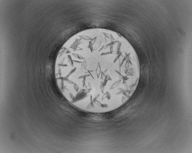 X0000110320127200906181831