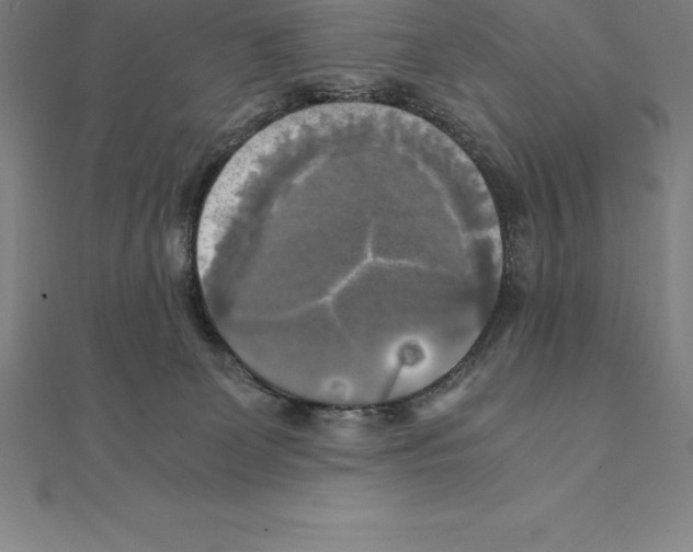 X0000110320131200906181831