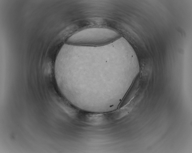 X0000110320132200906181831