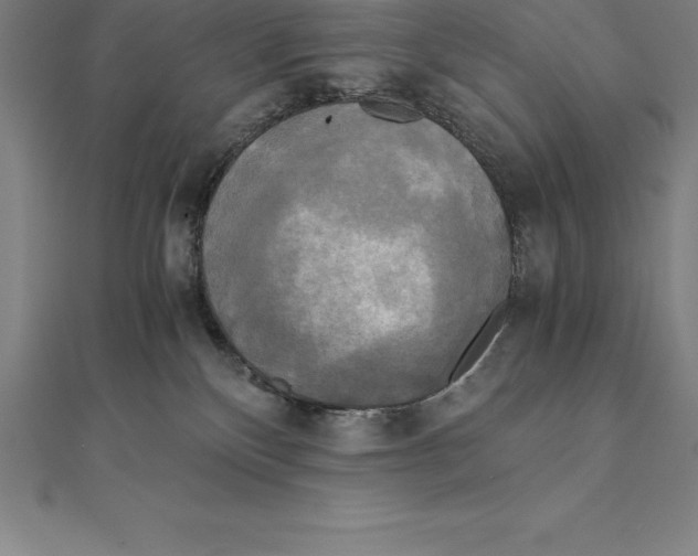 X0000110320136200906181831