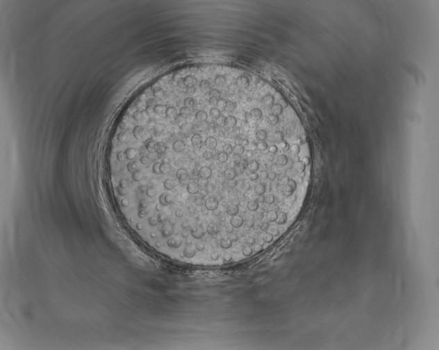 X0000110320145200906181830