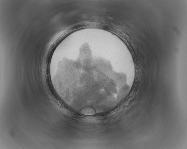 X0000110320149200906181830