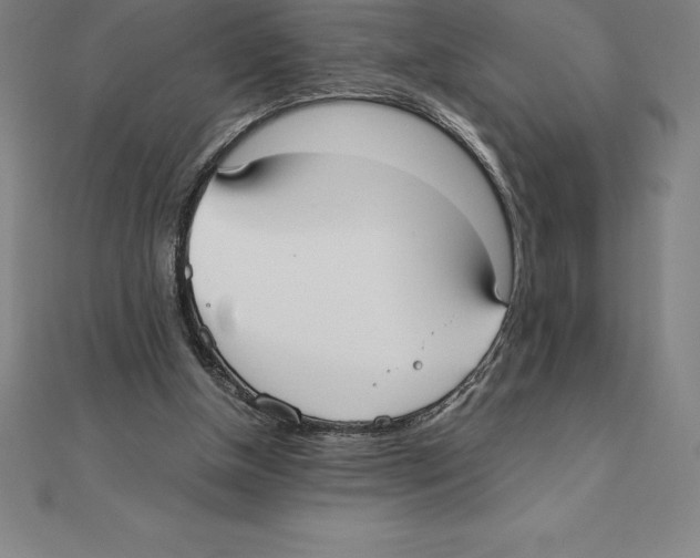 X0000110320154200906181830