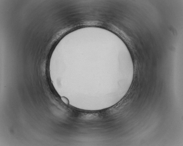 X0000110320155200906181830