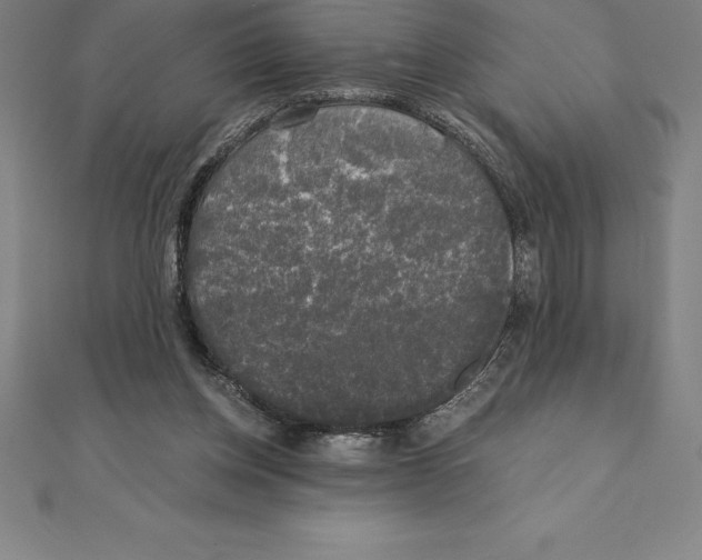 X0000110320158200906181830